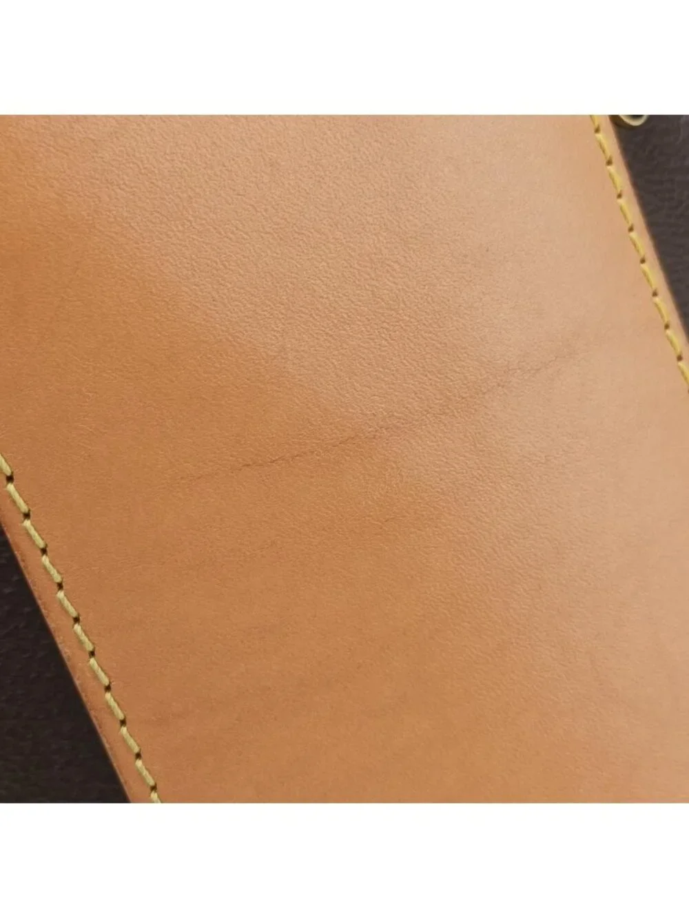 Louis Vuitton Cannes Monogram Brown Giant Reverse Vanity Bag